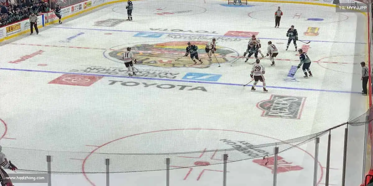 行业领先的理由